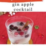 Low Carb Gin Apple Cocktail Pinterest pin with a sparkling gin drink, cranberry ice cubes and a cinnamon stick