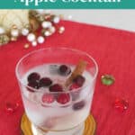 Low Carb Gin Apple Cocktail Pinterest pin with a sparkling gin drink, cranberry ice cubes and a cinnamon stick