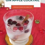 Low Carb Gin Apple Cocktail Pinterest pin with a sparkling gin drink, cranberry ice cubes and a cinnamon stick