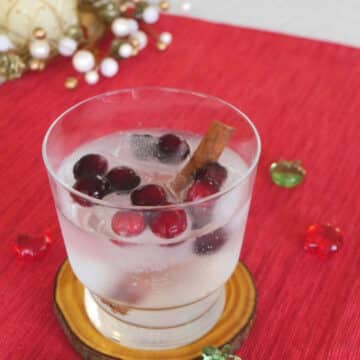 Low carb gin apple cocktail in a glass tumbler with cranberry ice cubes and a cinnamon stick on a red placemat